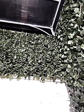 Eve  Queen online show from 09/11/25, 02:55