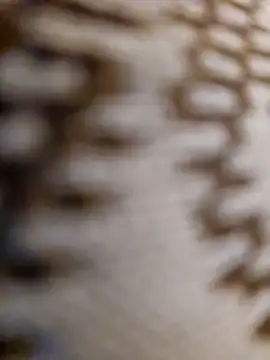 Snapshot of mojaymort chatting on 11/11/25, 10:54 mojaymort online show from 11/11/25, 10:54