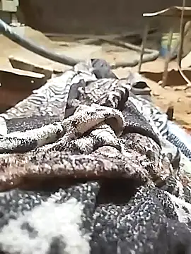 ParousFlow online show from 10/11/25, 11:03