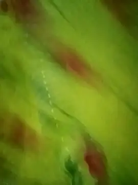 Snapshot of Shiya_janu chatting on 10/27/25, 11:14 Shiya janu online show from 10/27/25, 11:14