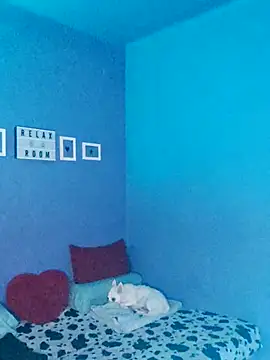 Noty bcn online show from 11/02/25, 12:02