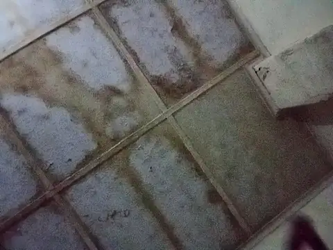 Snapshot of RFeltomWhitJ chatting on 11/17/25, 01:11 RFeltomWhitJ online show from 11/17/25, 01:11