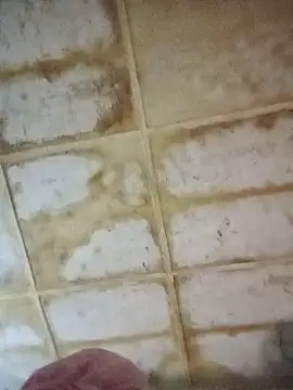 Snapshot of RFeltomWhitJ chatting on 11/18/25, 11:15 RFeltomWhitJ online show from 11/18/25, 11:15