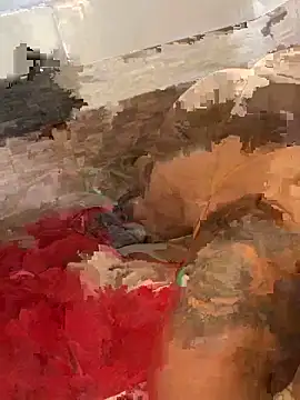 Snapshot of morenaluaa chatting on 10/22/25, 04:40 morenaluaa online show from 10/22/25, 04:40