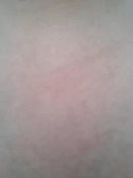 Snapshot of BigBoobs186 chatting on 10/20/25, 01:28 BigBoobs186 online show from 10/20/25, 01:28