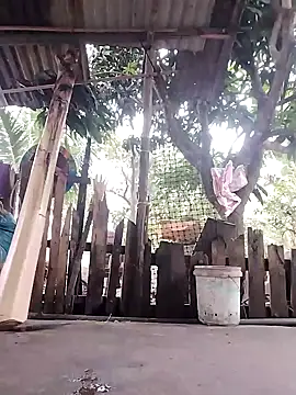 Snapshot of BigBoobs186 chatting on 10/23/25, 10:52 BigBoobs186 online show from 10/23/25, 10:52