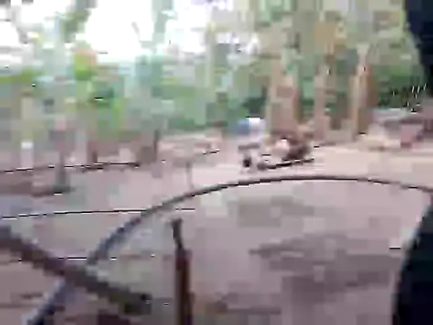 Snapshot of BigBoobs186 chatting on 11/10/25, 10:03 BigBoobs186 online show from 11/10/25, 10:03