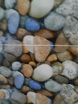 coocon2020 online show from 10/28/25, 01:31