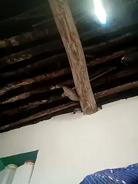 Hot siiii online show from 11/01/25, 01:18