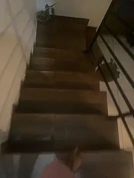 pretalst online show from 11/19/25, 07:52