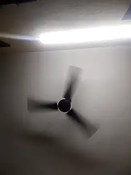 Devi-with-Ram online show from 10/13/25, 04:34