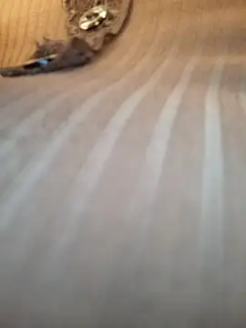 Snapshot of Sandiq99six chatting on 11/07/25, 11:05 Sandiq99six online show from 11/07/25, 11:05