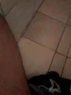 Lushen704 online show from 10/29/25, 06:15