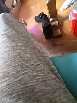 Fonse1860 online show from 10/19/25, 08:59