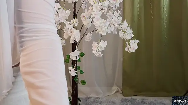 AccaCroyle online show from 11/02/25, 08:11