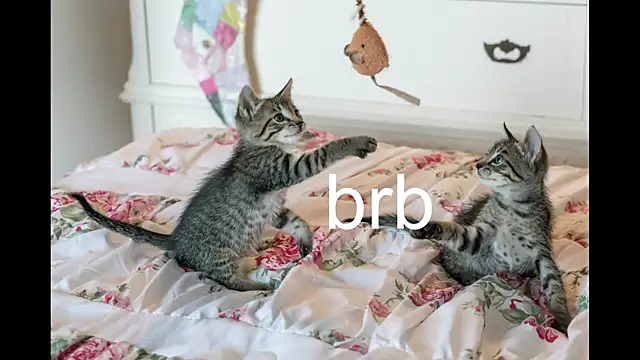 Pink girl0n online show from 09/27/25, 04:12