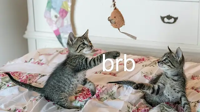 Pink girl0n online show from 11/17/25, 07:08