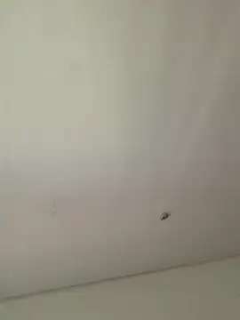 lana rousse01 online show from 09/09/25, 02:49