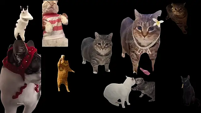 ch0wn m online show from 10/03/25, 12:46