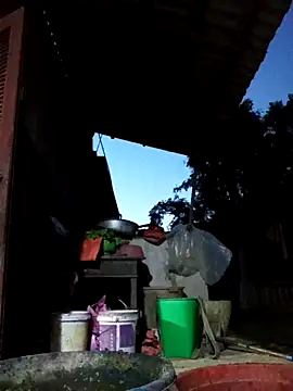 Snapshot of Bibilenu chatting on 10/19/25, 11:00 Bibilenu online show from 10/19/25, 11:00