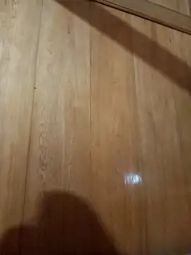 Snapshot of Bibilenu chatting on 10/31/25, 01:12 Bibilenu online show from 10/31/25, 01:12