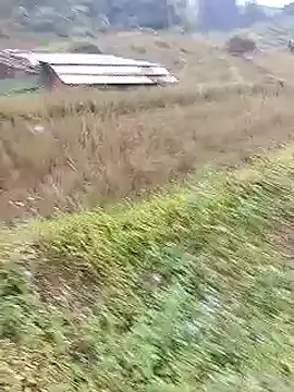 Snapshot of Phuongphuongg chatting on 10/20/25, 02:23 Phuongphuongg online show from 10/20/25, 02:23