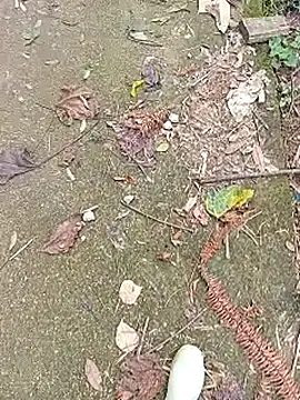 Snapshot of Phuongphuongg chatting on 10/27/25, 04:27 Phuongphuongg online show from 10/27/25, 04:27