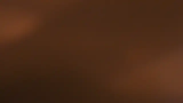 WILD FIREE  online show from 10/12/25, 08:19