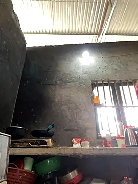 Sunny lotus online show from 11/16/25, 04:29