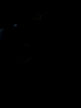 Reeelo online show from 11/19/25, 05:57