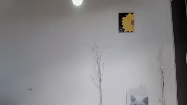 Stein  online show from 09/15/25, 01:55
