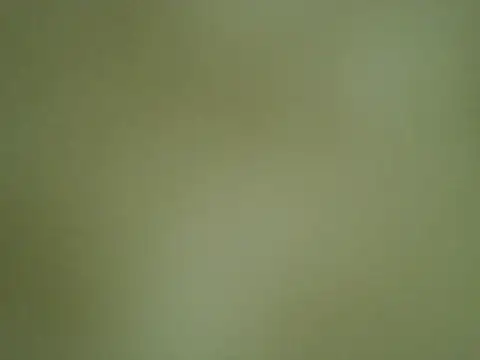 Snapshot of Quarentaoon chatting on 10/04/25, 03:32 Quarentaoon online show from 10/04/25, 03:32