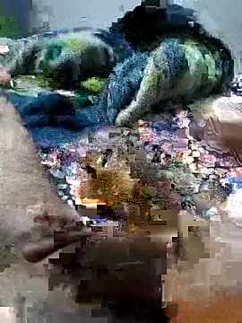 sitonmycock  online show from 10/06/25, 09:01