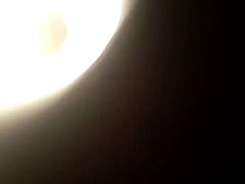 Salon1986 online show from 10/31/25, 07:48