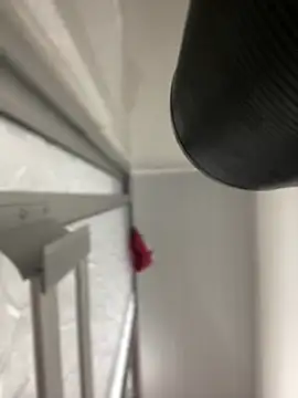 JuanitaMore01 online show from 10/07/25, 08:28