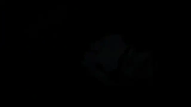 Rosea Champagne online show from 10/22/25, 12:16