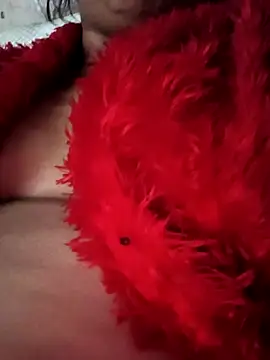 heena3355 online show from 11/20/25, 04:12