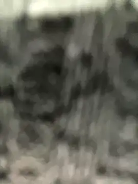 caroline  muller online show from 10/14/25, 10:49