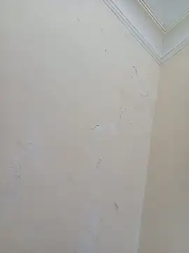 Snapshot of Sondosa3 chatting on 10/05/25, 09:02 Sondosa3 online show from 10/05/25, 09:02