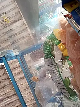 Lorenasex online show from 11/15/25, 12:02