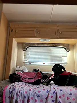 high3ndlowlife online show from 11/20/25, 04:40