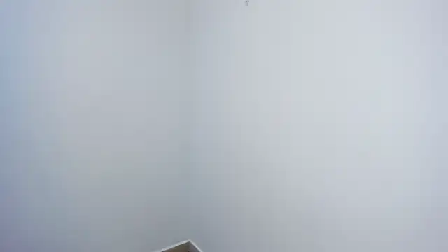 stephane rouss online show from 11/18/25, 08:57