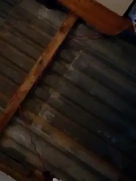 Snapshot of LUISSLEONN0958 chatting on 09/25/25, 09:02 LUISSLEONN0958 online show from 09/25/25, 09:02