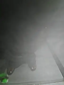 LundBoyram online show from 10/28/25, 07:34