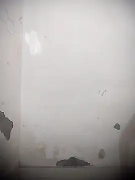 Snapshot of sassyy_poonam chatting on 10/11/25, 08:13 sassyy poonam online show from 10/11/25, 08:13