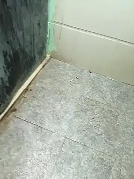 Desi Partycapal online show from 11/13/25, 03:49