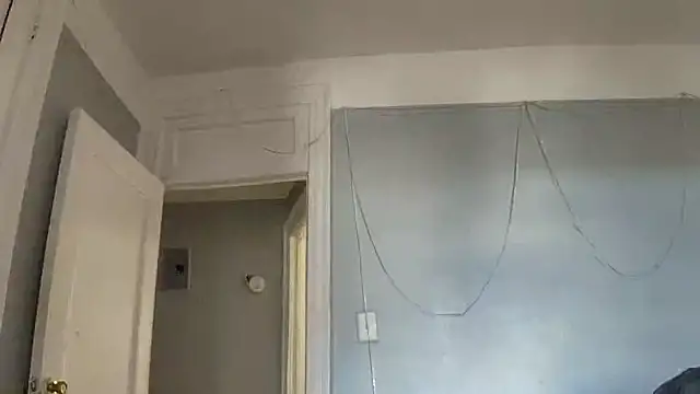 puddled wonderland online show from 10/24/25, 06:37