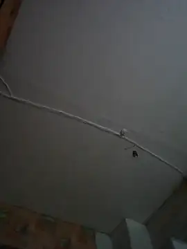 Romashka33011 online show from 11/06/25, 08:15