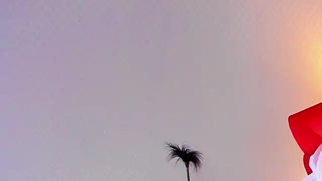 Snapshot of Lillie_Berry chatting on 10/25/25, 04:42 Lillie Berry online show from 10/25/25, 04:42