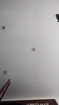 PearlingBunkbed online show from 11/09/25, 05:06